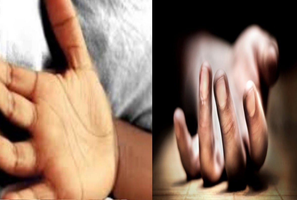 suicide: husband hanged himself from the tree, the wife ate poison in kangra himachal