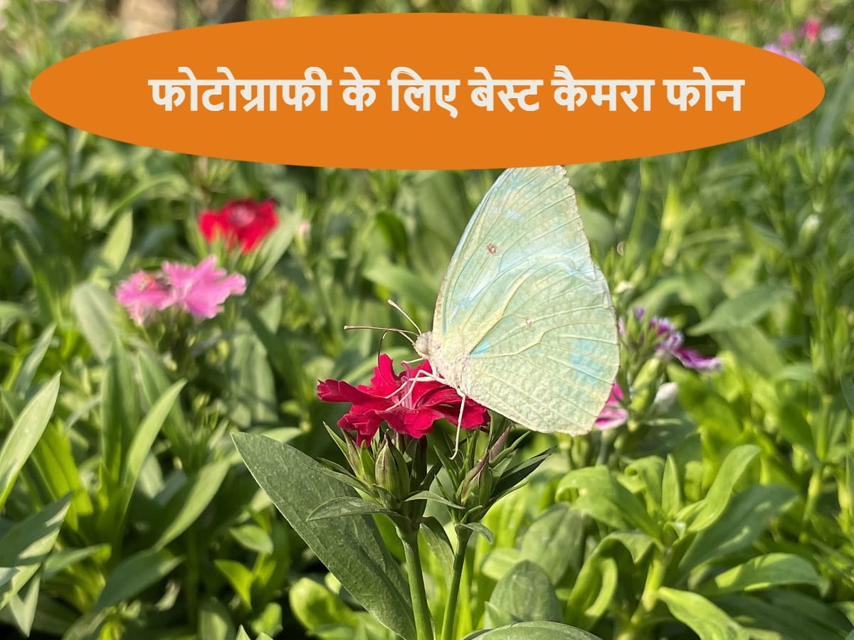 world photography day 2021 best smartphones for mobile photography in India