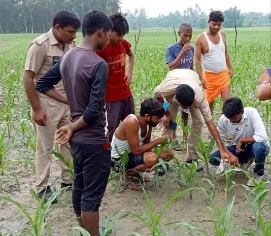crime,hardoi,wild animal,hardoi news
