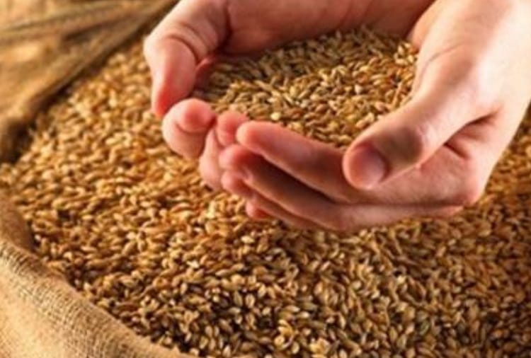 'Depot holders ensure the quality of ration'