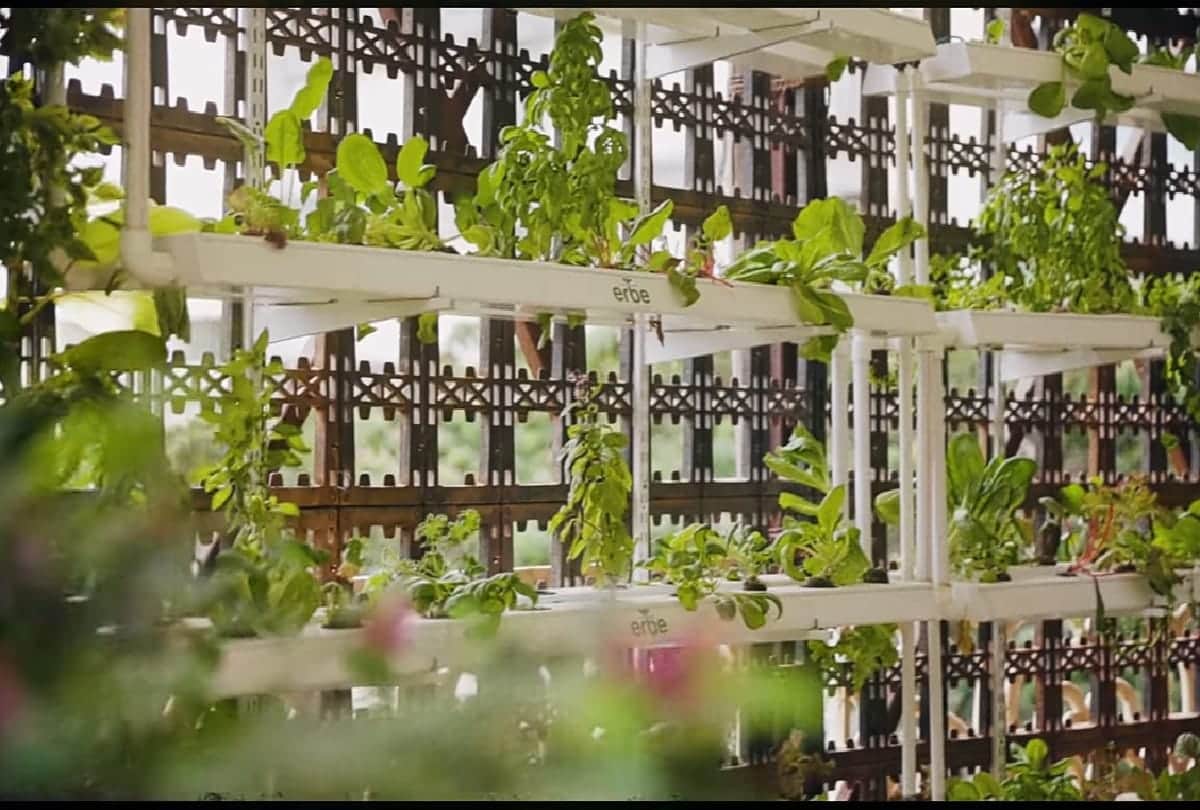 Actress Priyanka Chopra Mumbai's house is very beautiful from inside now Jacqueline Fernandez is living here on rent see pic's