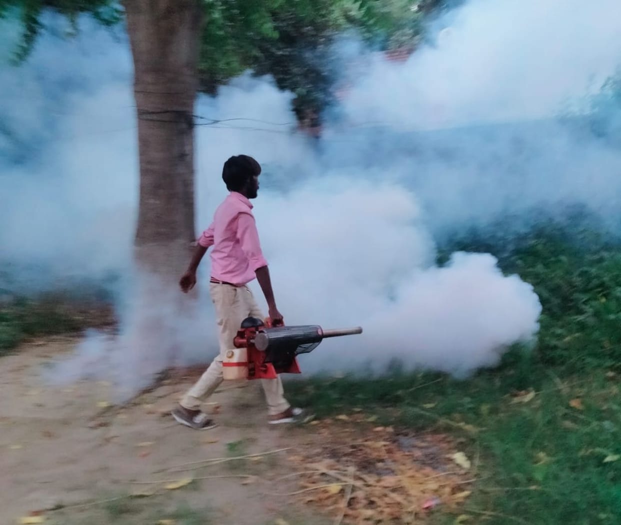 The first case of dengue was found in the district, the department got fogging done