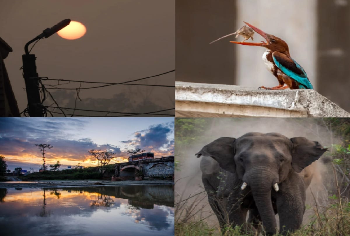 Saharanpur News: Unforgettable pictures captured in the passion of photography