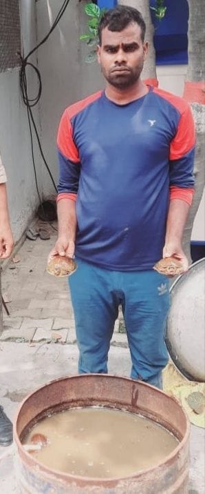 man arrest with tortoise