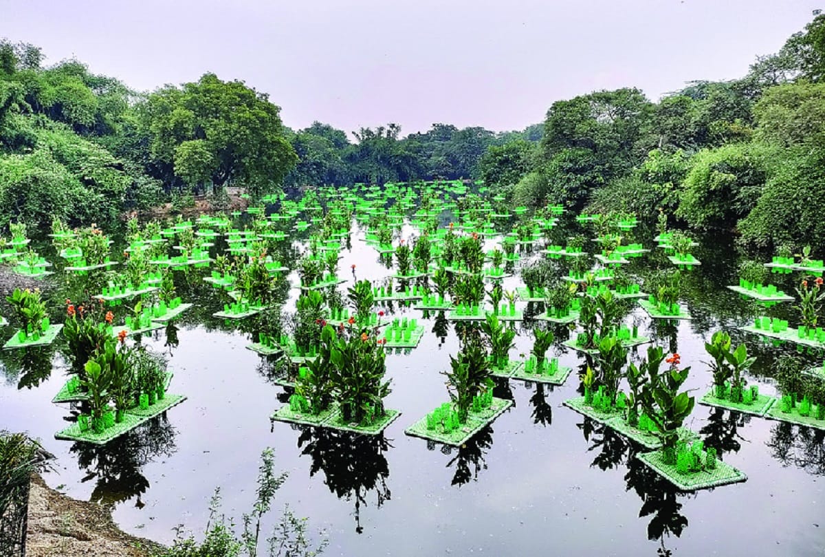 Claims to make Delhi a city of lakes, Jal Board engaged in exercise