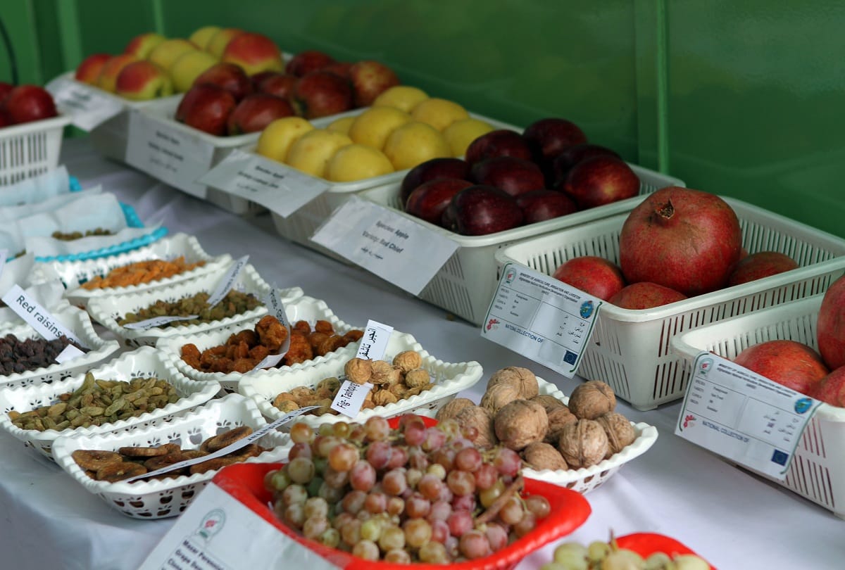 How will Afghanistan economy improve