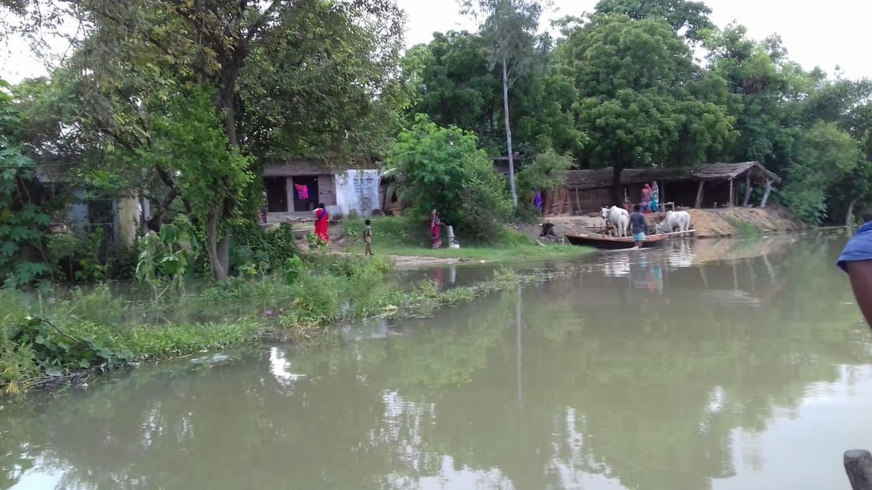 Suvikha Babu surrounded by flood waters