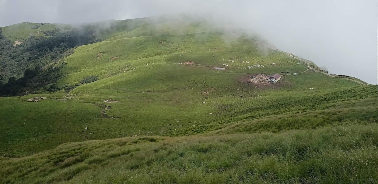 Kedarnath Wildlife Division removed encroachment from Panar Bugyal