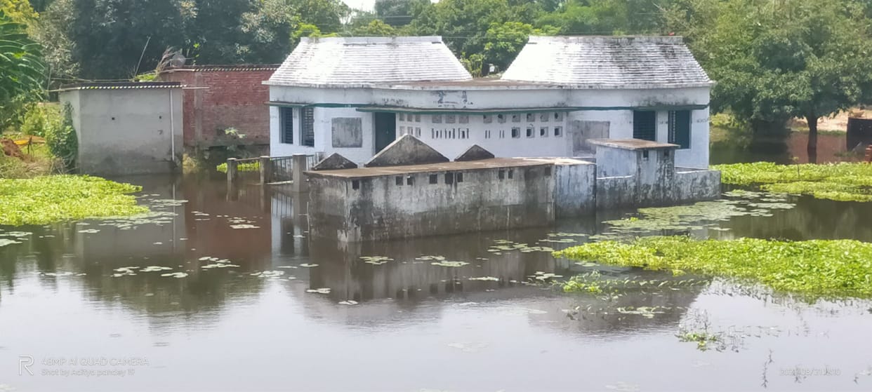Water level decreased but harvesting continues