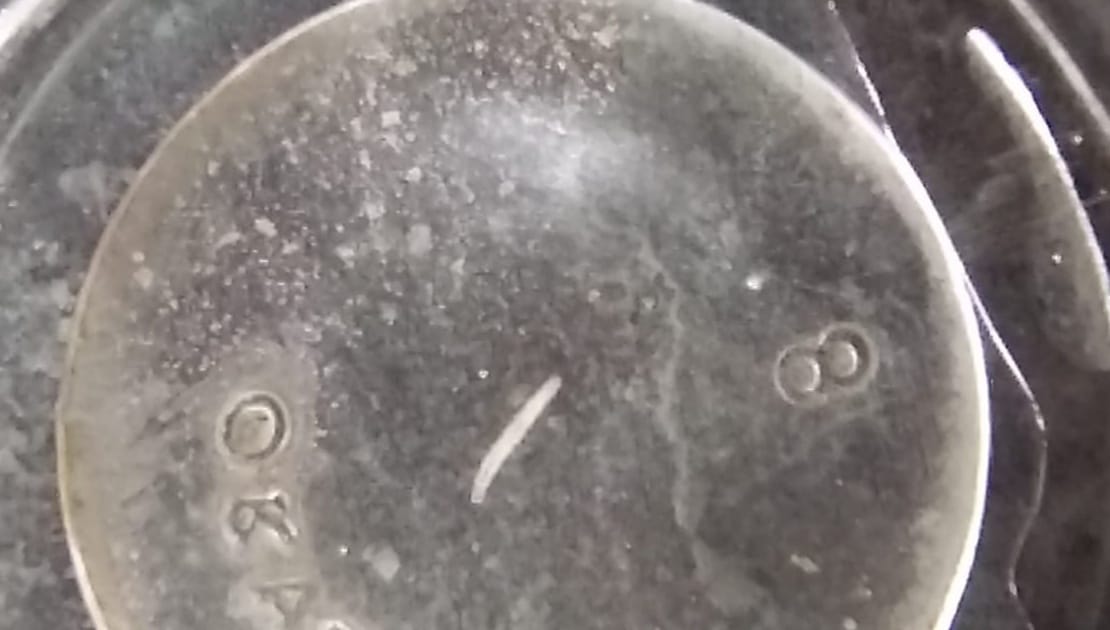 Insects are coming out in drinking water, anger among people
