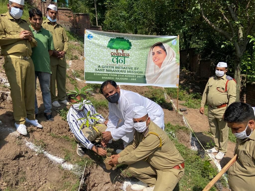 tree plantation