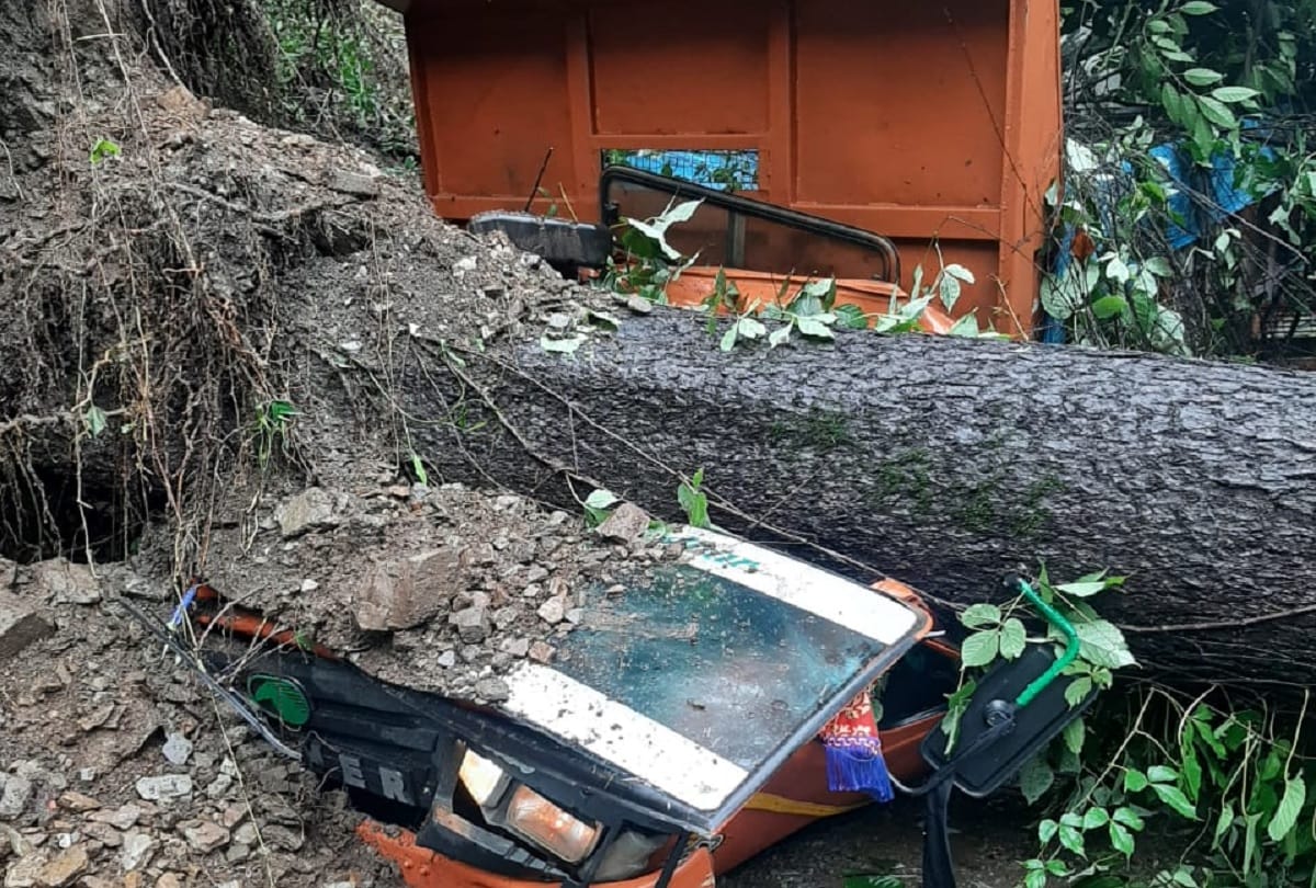Tree falls down on shimla road heavy jam due to damaged truck