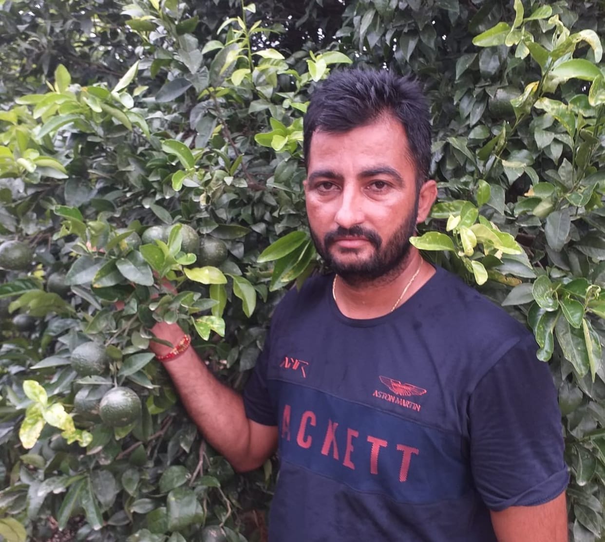 Kinnu planted for additional income, now earns Rs 35 lakh every year