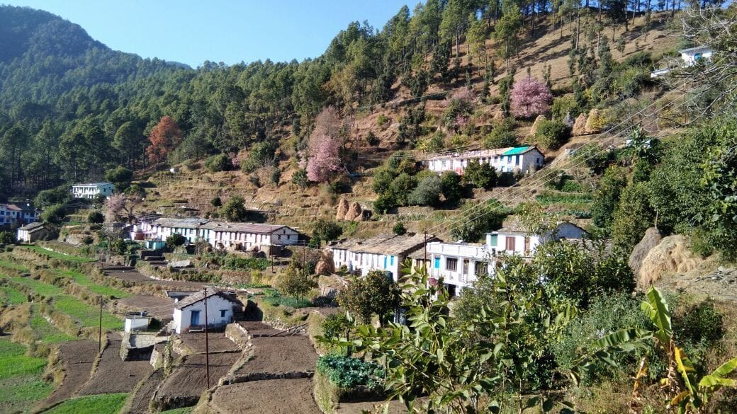 Road distance from village did not decrease, migration became a compulsion