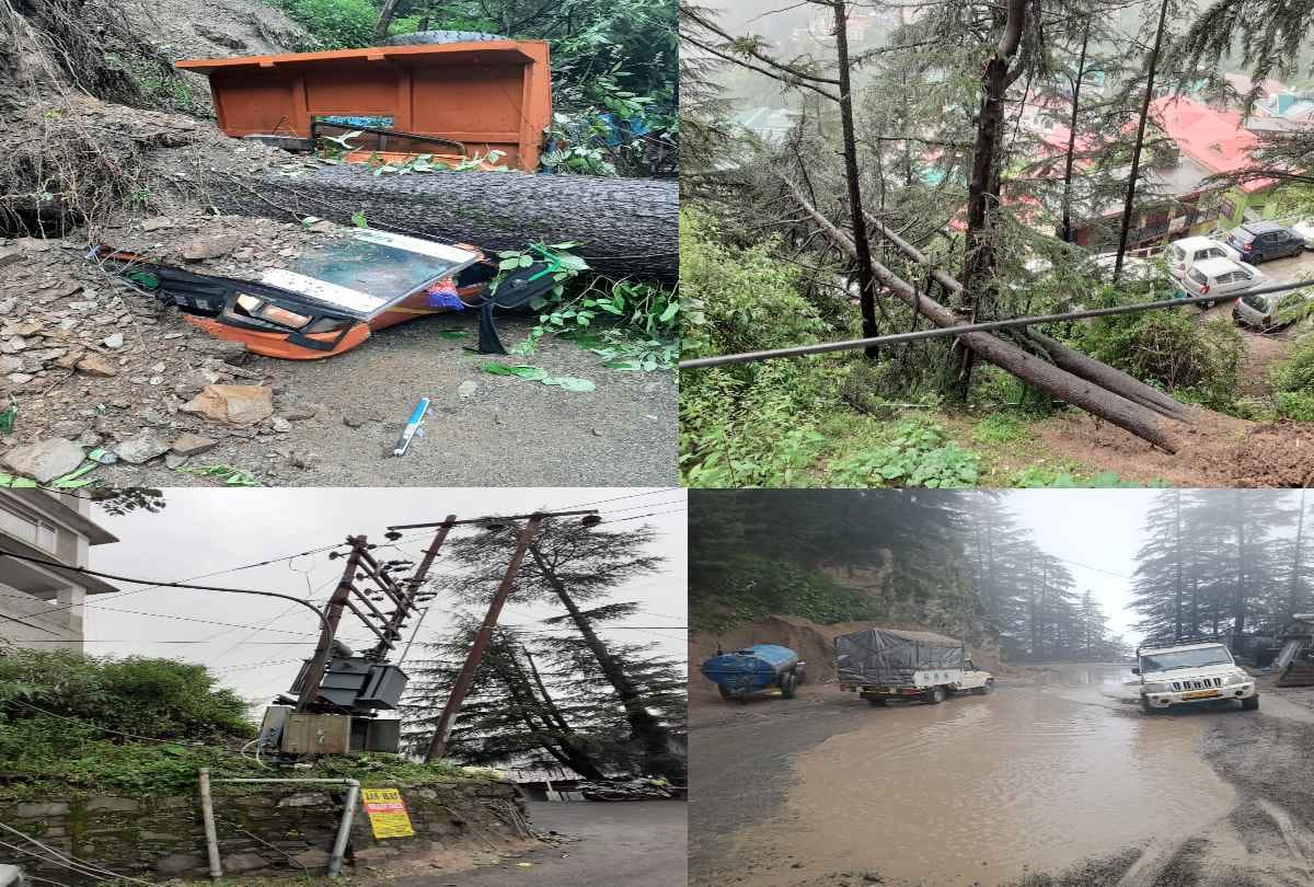 Himachal Rain News: Trees fell in many places due to heavy rainfall, damage to vehicles, power supply stalled