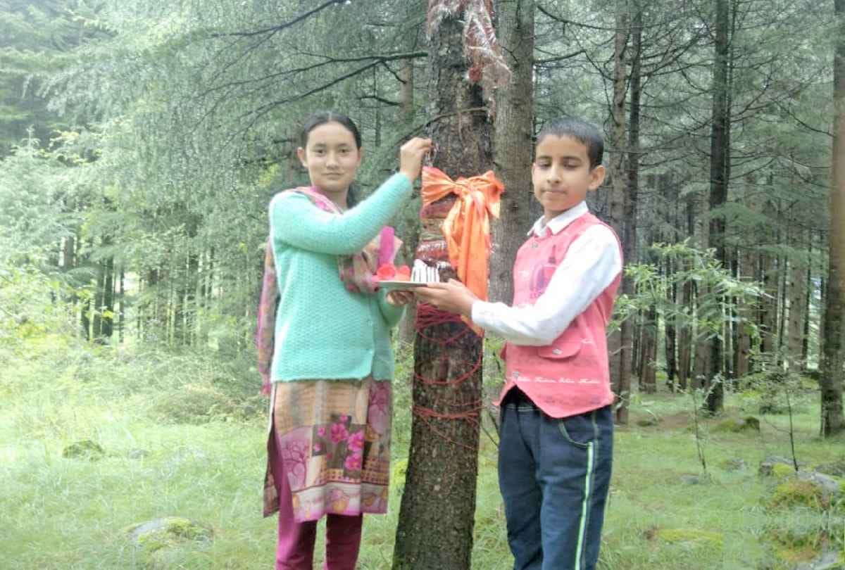 Environment lover Kalpana Thakur tied rakhi to tree in Lahaul spiti