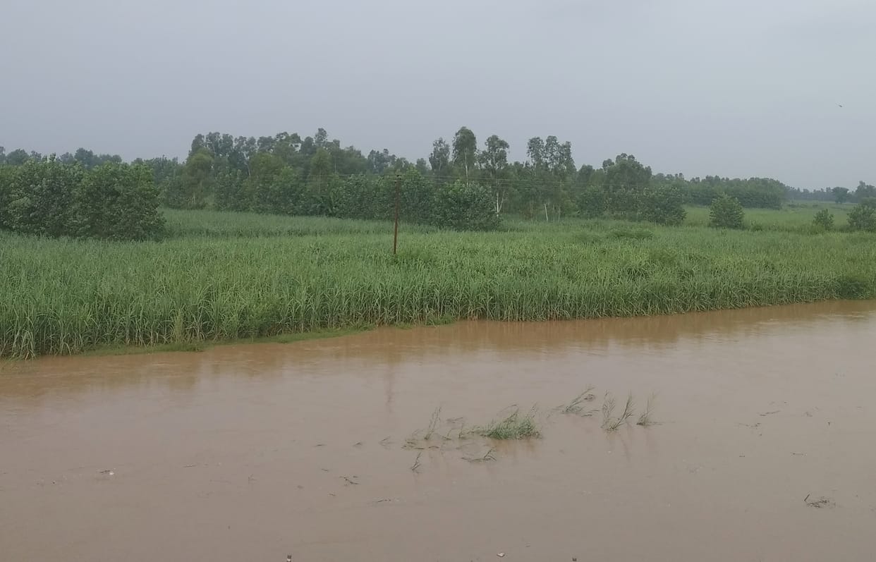 The Ganges and Malan rivers overflowed due to rain