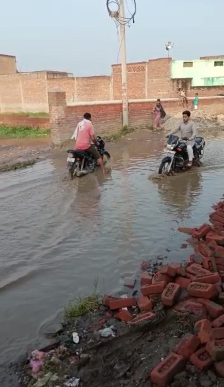 waterlogging video viral on social media