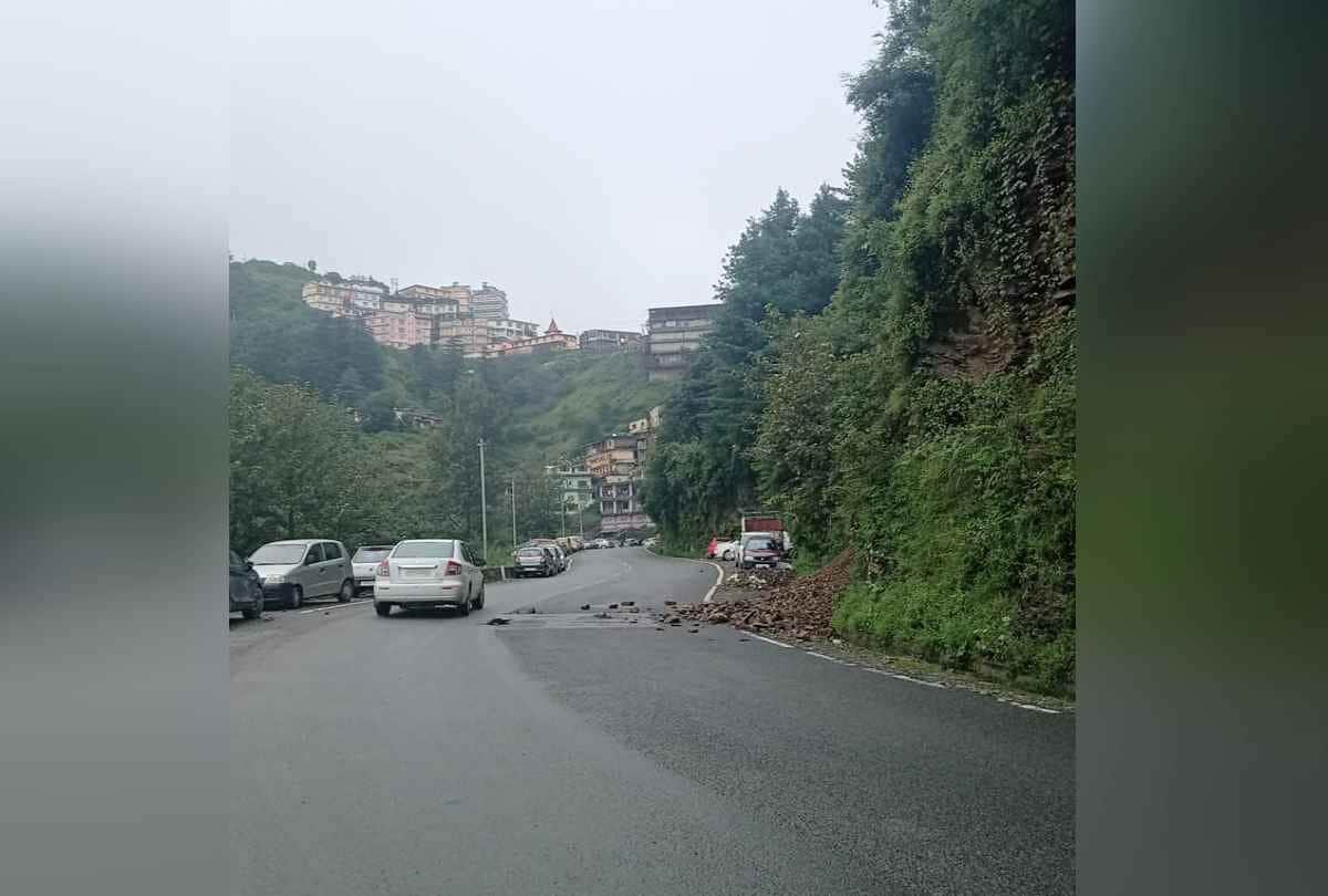 Himachal Rain News: Trees fell in many places due to heavy rainfall, damage to vehicles, power supply stalled