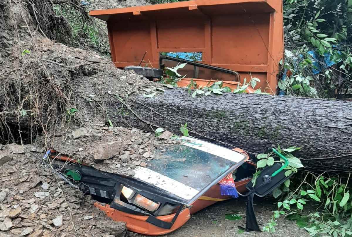 Himachal Rain News: Trees fell in many places due to heavy rainfall, damage to vehicles, power supply stalled
