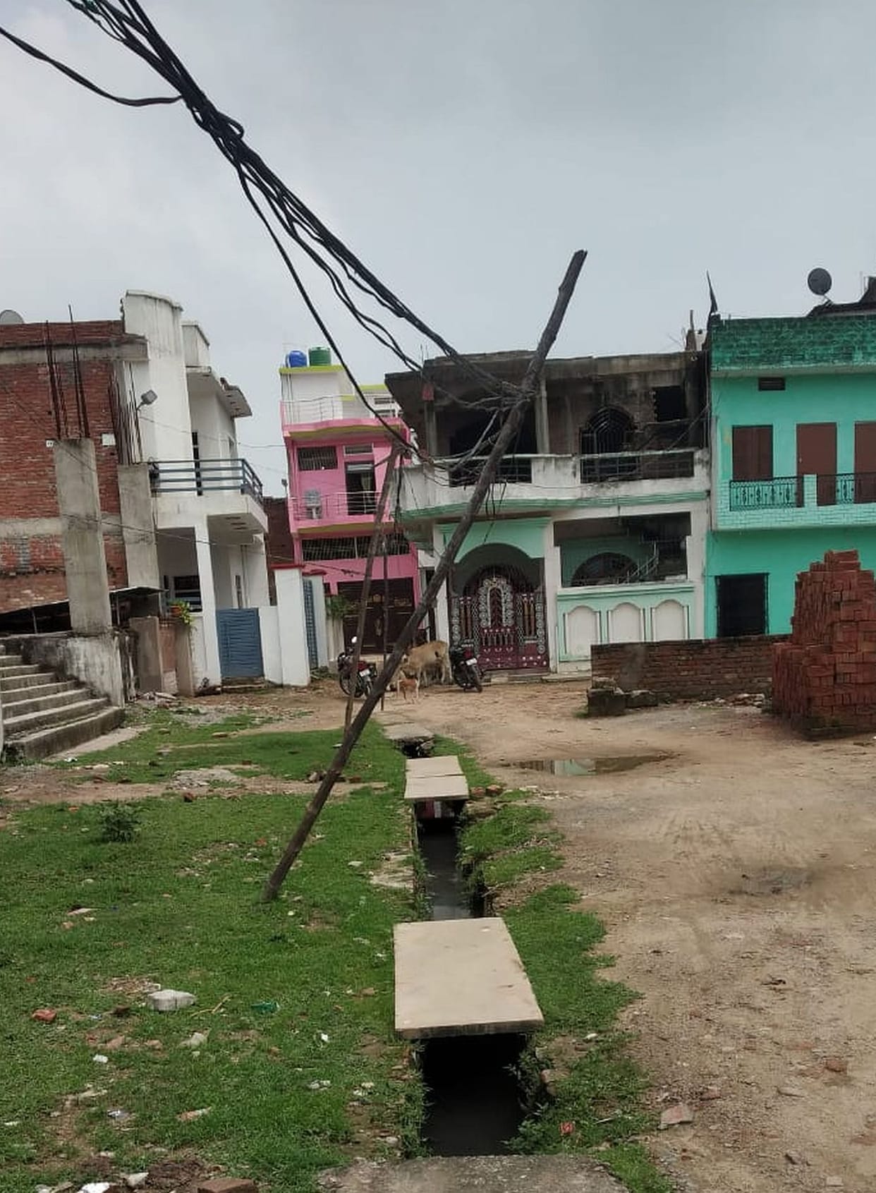 High tension line going through damaged bamboo pole