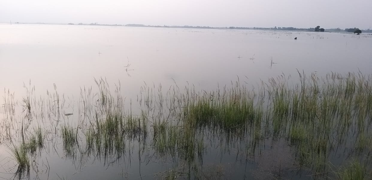 Many villages are submerged for five days, danger looms over the dams