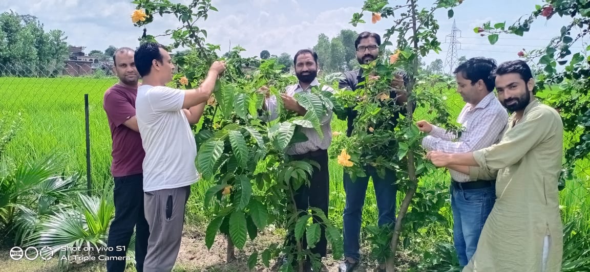 The message of environmental protection was given by tying the protection thread to the trees