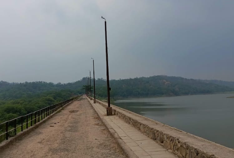 Forest Department of Punjab will provide employment to youth as Guide of Siswan Dam