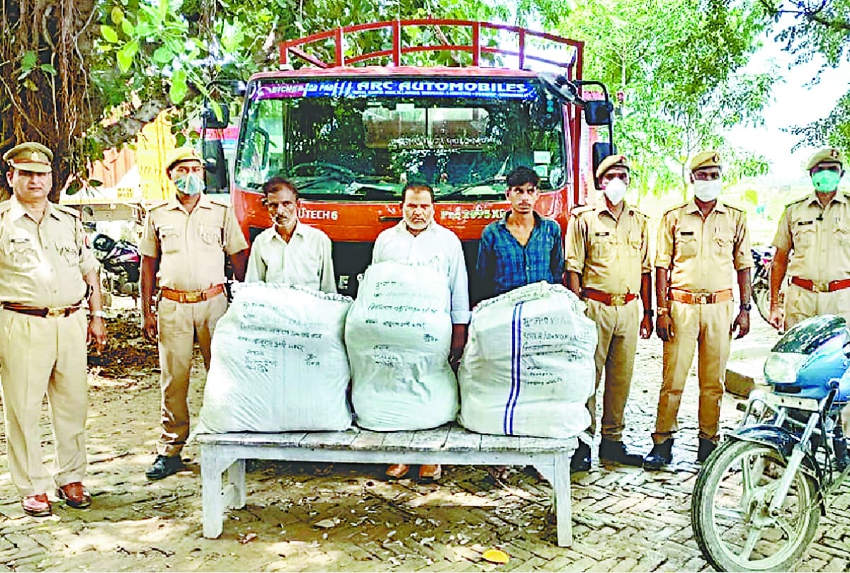 police arrested three for smuggling of hemp in ambedkarnagar.