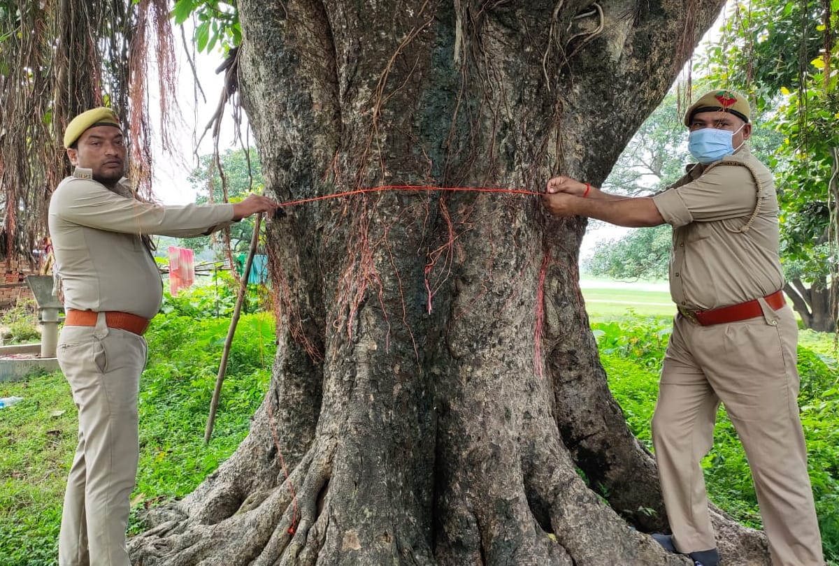 Rakhi dam to trees celebrated Rakshabandhan