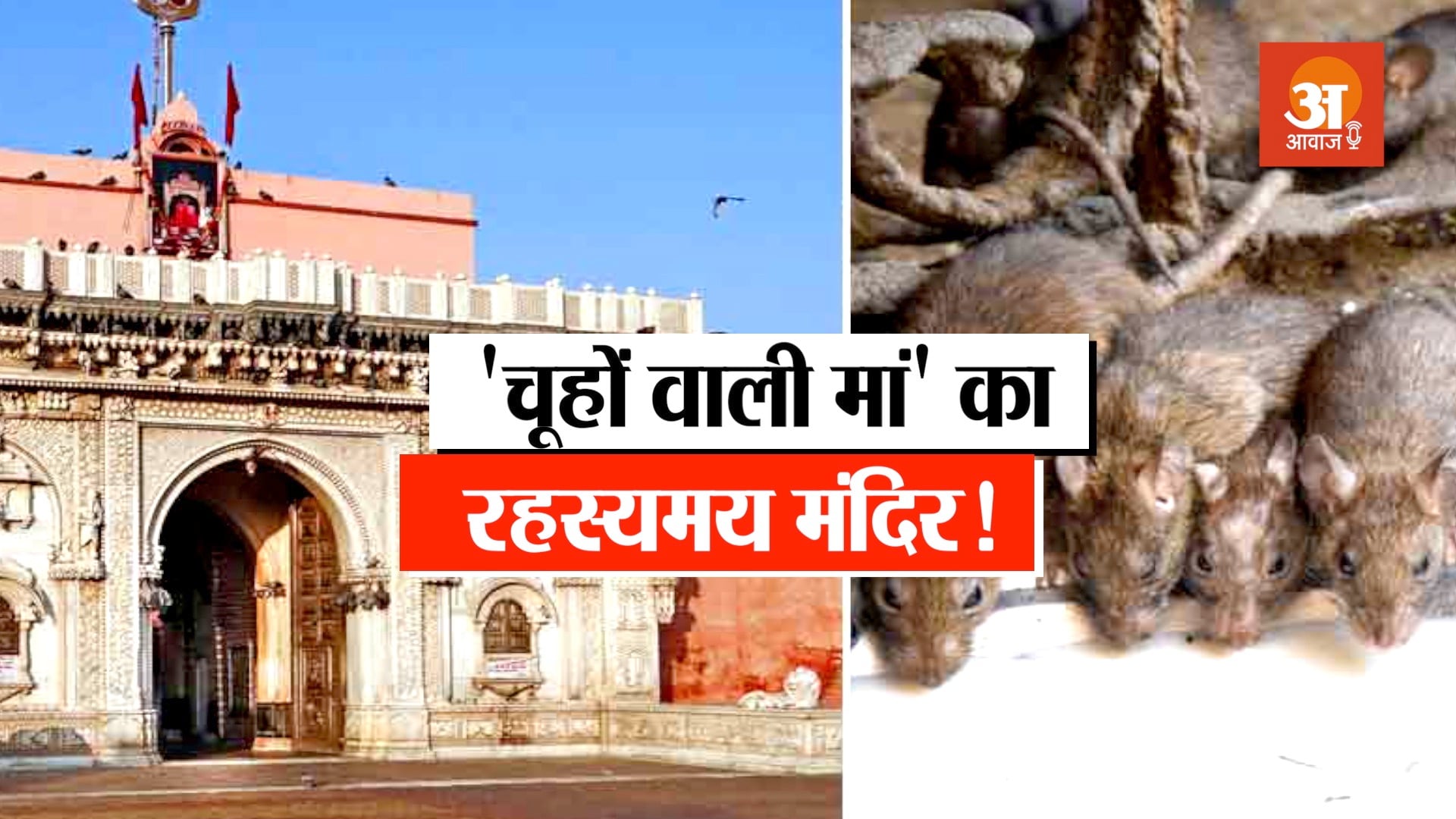 podcast story of karni mata temple deshnok rajasthan