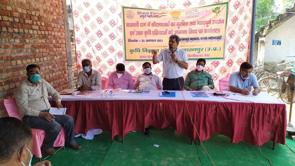 Scientists gave tips for exportable Basmati production