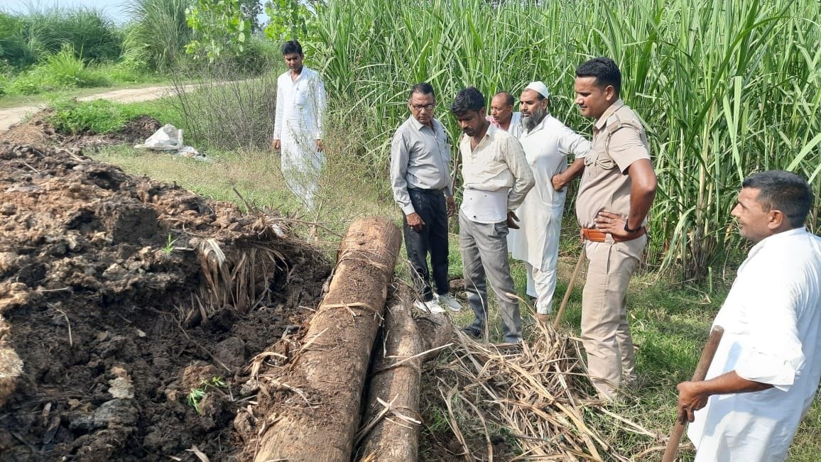 Forest department recovered trees cut from canal tracks