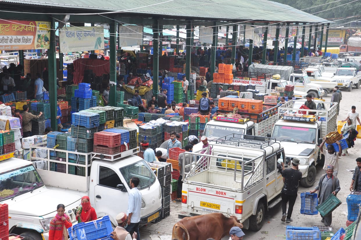 Silver of jeep drivers in apple season, many rounds of vegetable market, More than 300 vehicles coming every day in Bandrol, Bhuntar and Patlikuhal Mandi