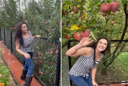 Preity Zinta Ghar ki kheti Preity Zinta showed her home farming watch video