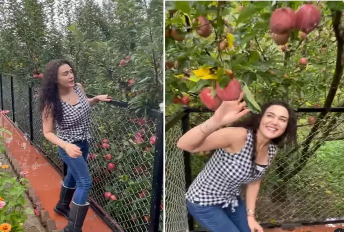 Dimple girl Preity Zinta shared a beautiful video from her family farm