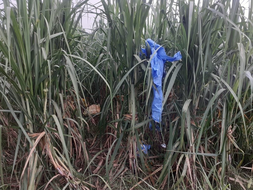 Hundreds of PPE kits found in Rohana Kalan forest