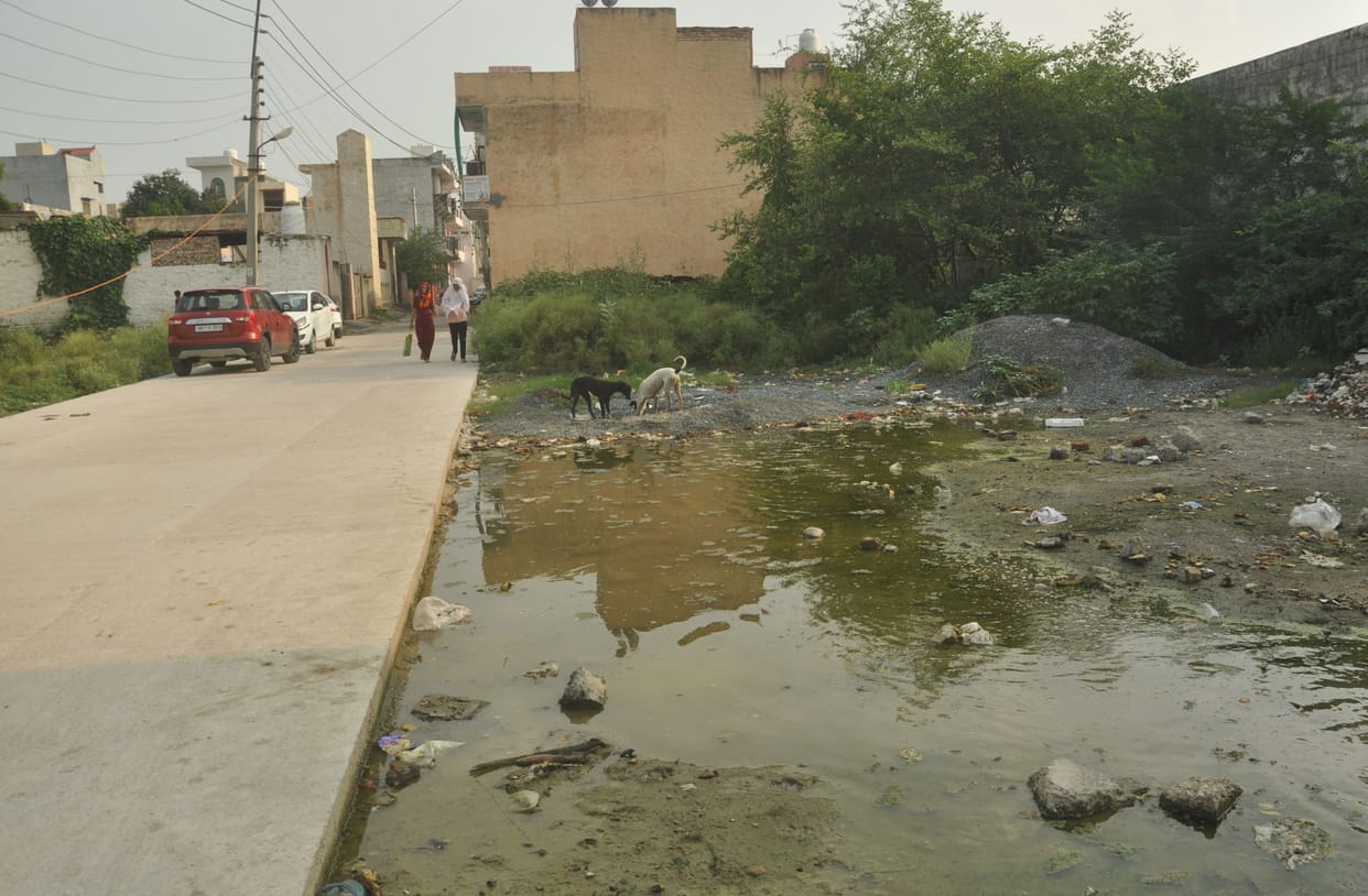 People upset due to waterlogging in vacant plots in Ramgopal Colony