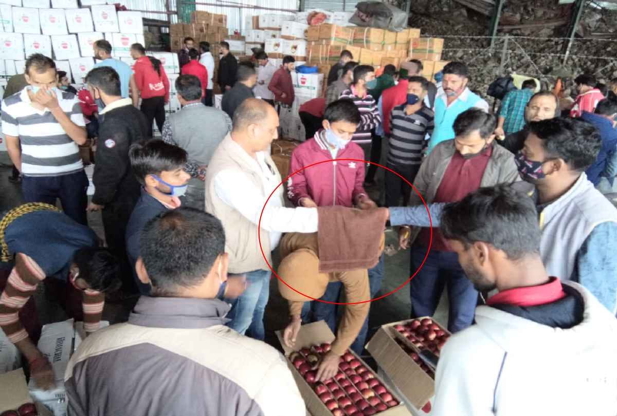 Apple bidding under the towel in Bhattakufer Mandi shimla himachal