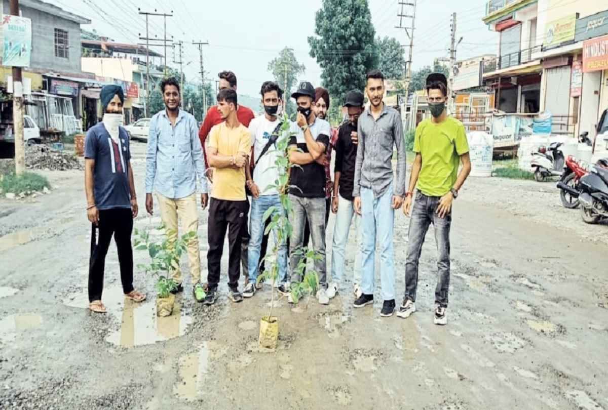 AP workers planted saplings in the pits of the National Highway in paunta sahib himachal