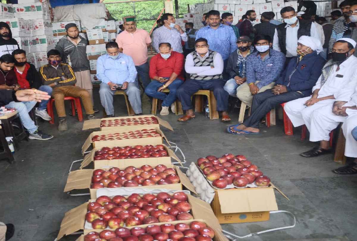 The economy of billions of apple business in trouble due to a sharp fall in apple prices in himachal pradesh