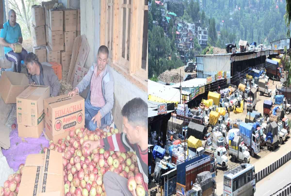 Price of super class apple reduced by five rupees in a single day in kullu himachal