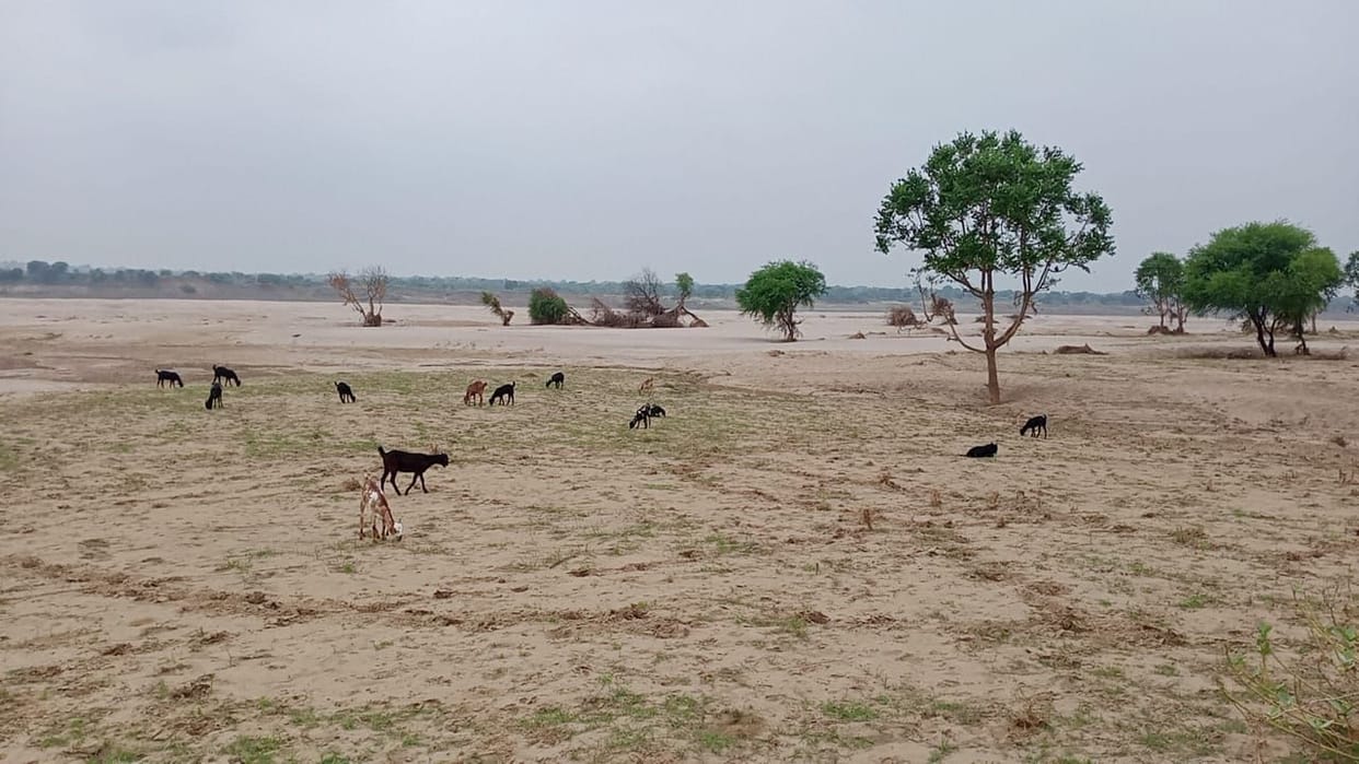 sand effected agriculture land after flood