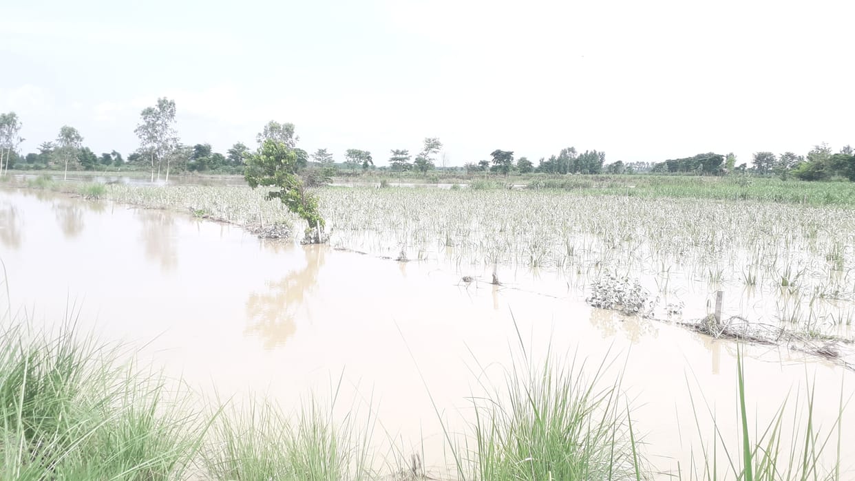 Rivers in spate again due to rain, villagers in panic