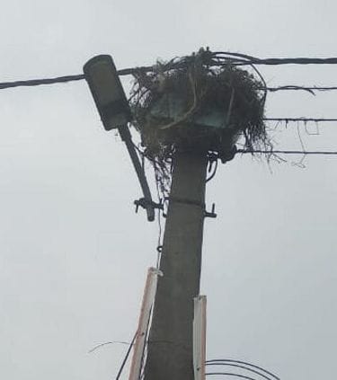 130 lights on the pillars in the village got damaged