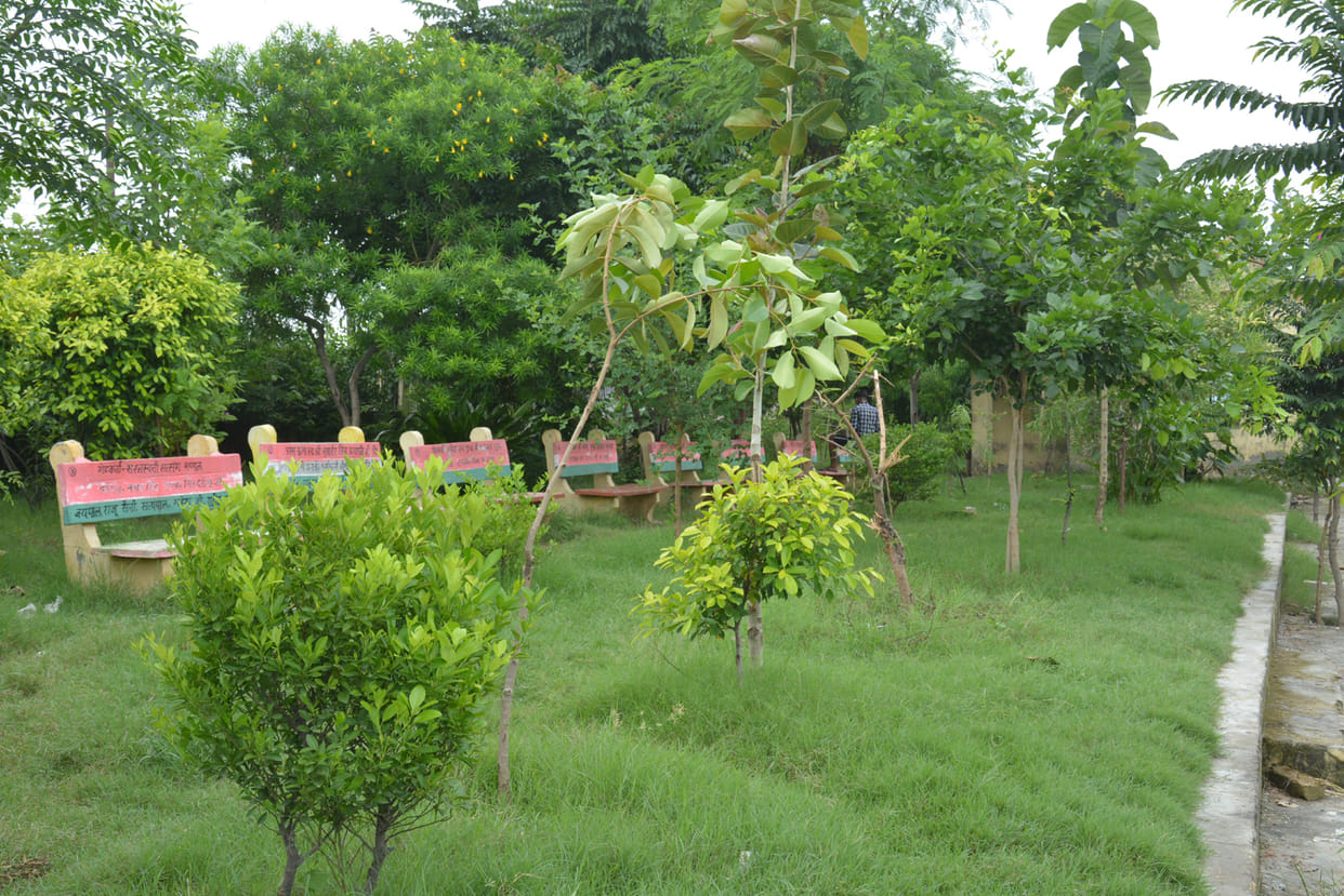 Dust used to fly three years ago, now the trees are swaying