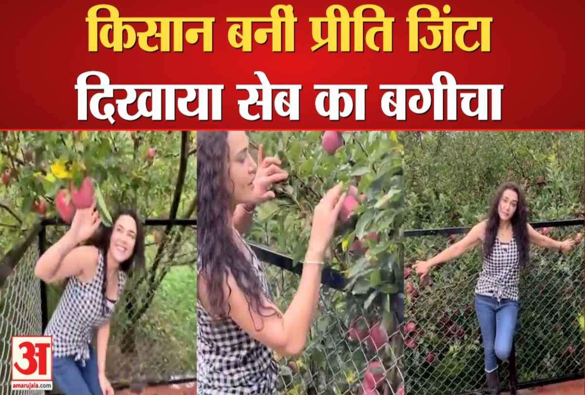 सेब बगीचे में अभिनेत्री प्रीति जिंटा ।