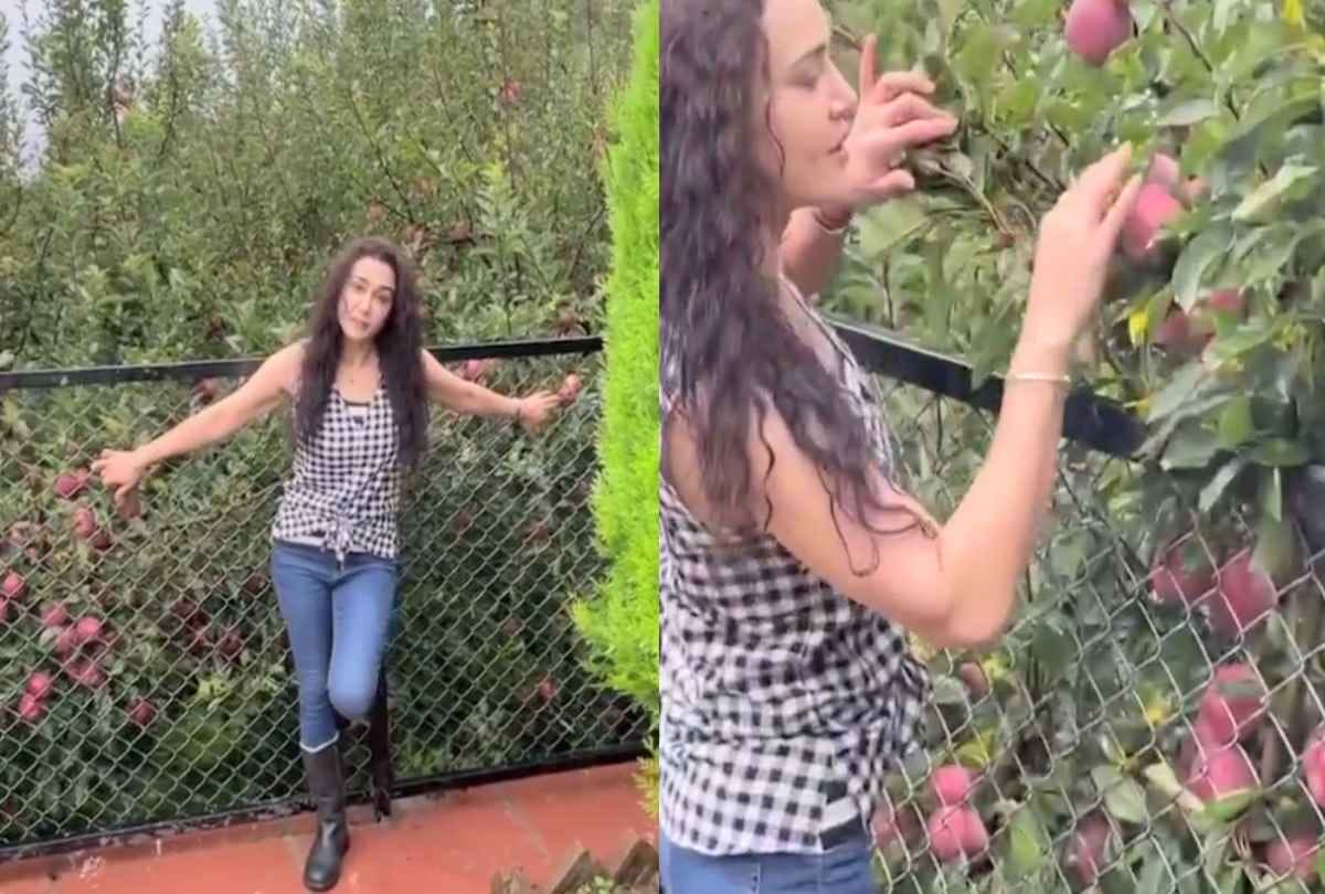 Preity Zinta revived childhood memories in apple orchard at jubbal shimla himachal