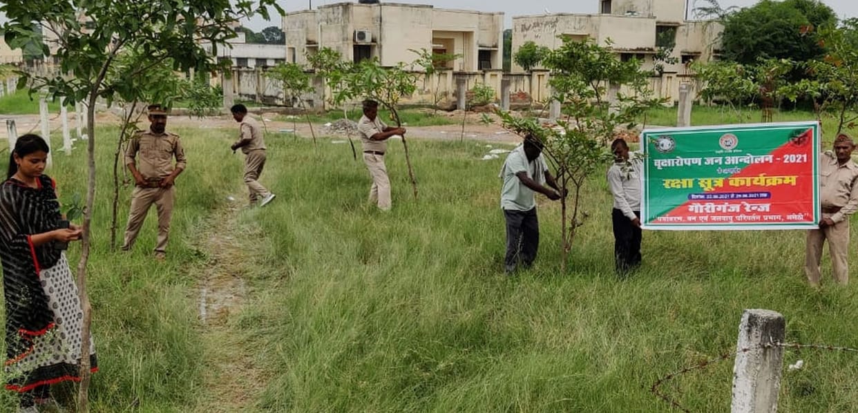 Tied rakhi to plants, taken pledge to save them