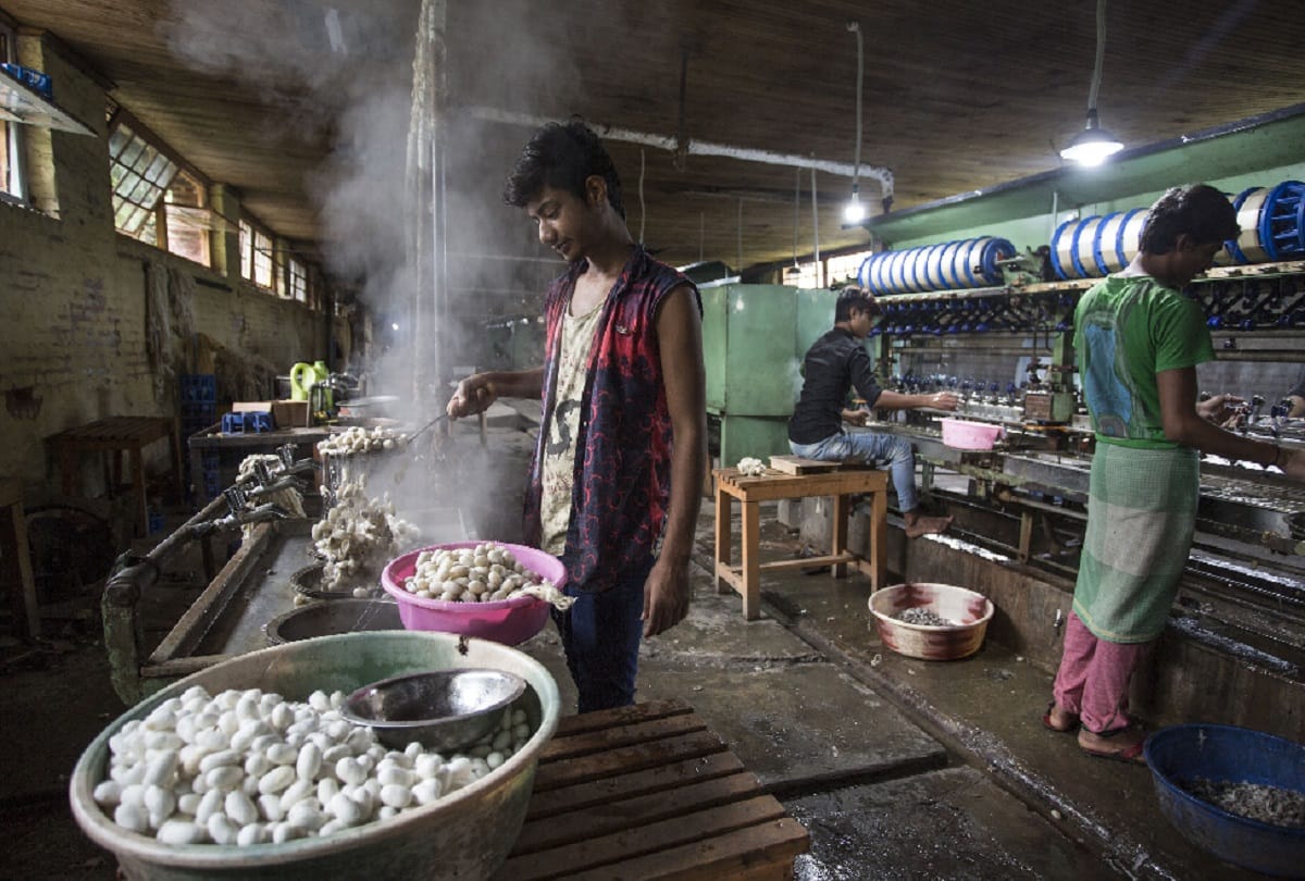 Kashmir silk industry will get a new identity through modernization